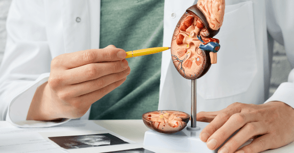 Can Early Stage Kidney Disease Be Reversed? – Dr. Satyanarayana Garre
