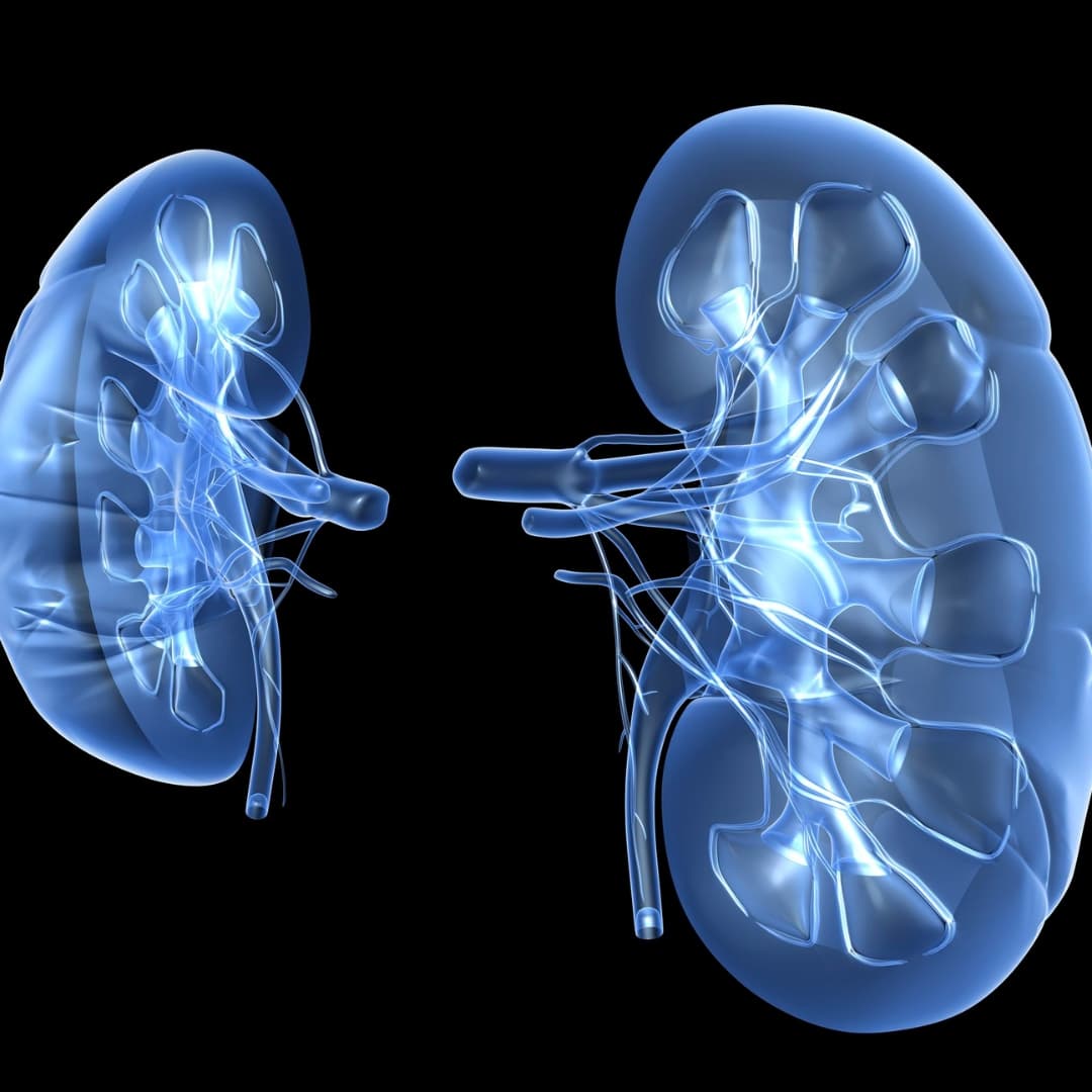 Kidney Stones & Urinary Disorders