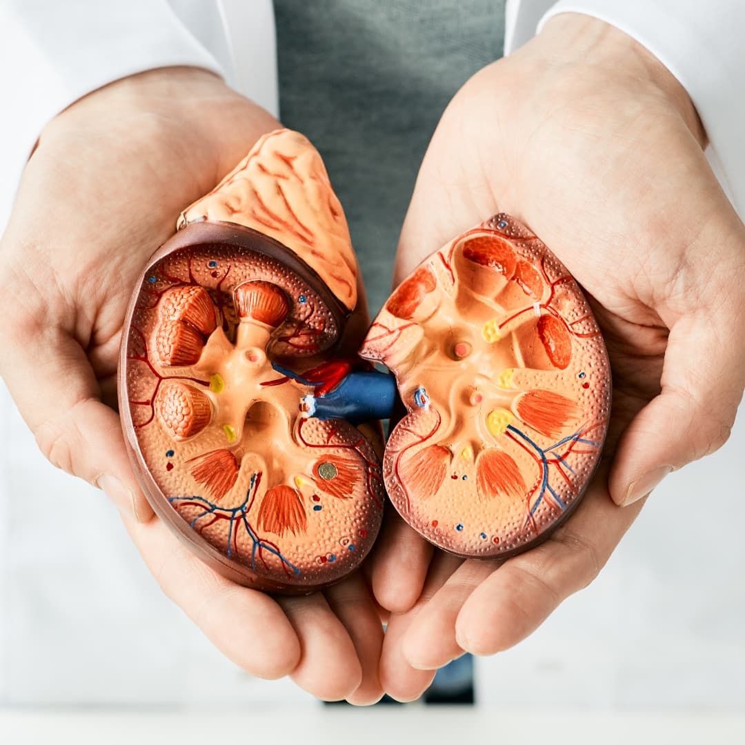 Kidney Stones & Urinary Disorders